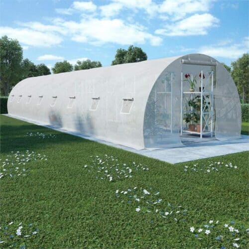 Greenhouse with Steel Foundation 36m? 12x3x2 meters